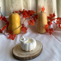 Vela de Calabaza