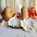 Pack Gotas de Otoño
