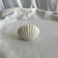 Vela Concha Marina